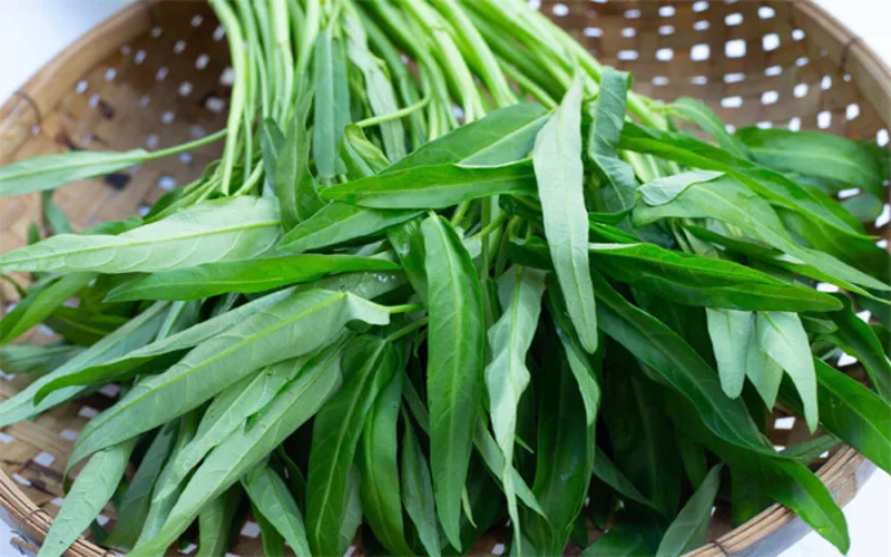 gay tay kieng an gi top thuc pham nen tranh de xuong nhanh lanh