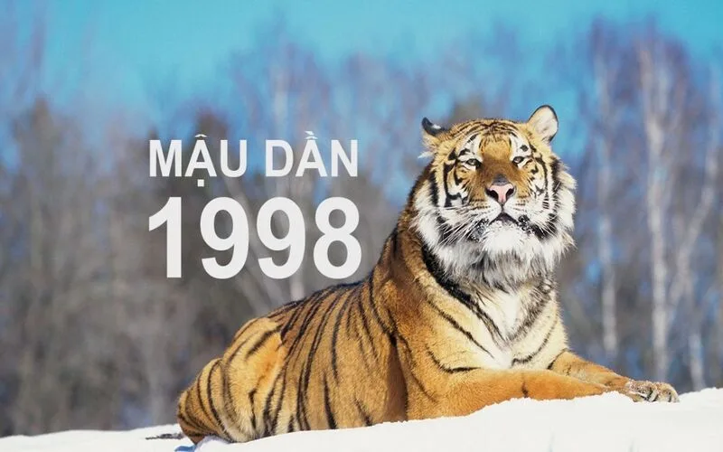 so hop menh tho 1998 cac con so mang lai may man va tai loc