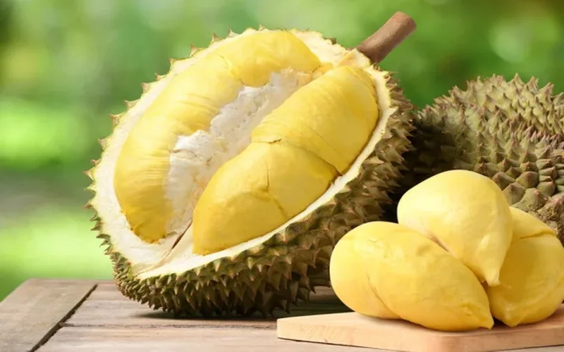 an sau rieng co tot khong thanh phan dinh duong va loi ich noi bat