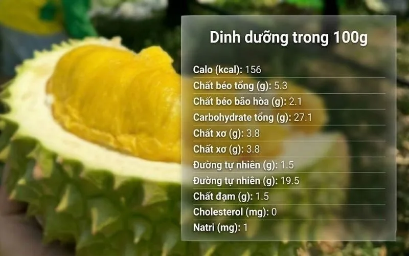 an sau rieng co tot khong thanh phan dinh duong va loi ich noi bat
