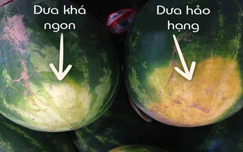 cach chon dua hau ngon bi quyet chon qua do ngot mong nuoc